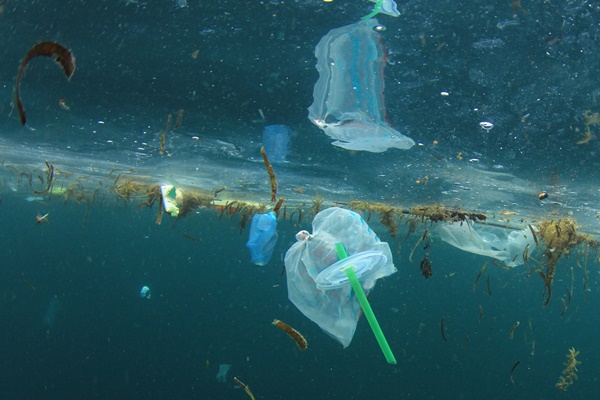 Plastic trash in the water