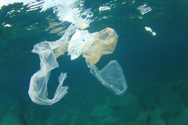 Plastic Bag Underwater